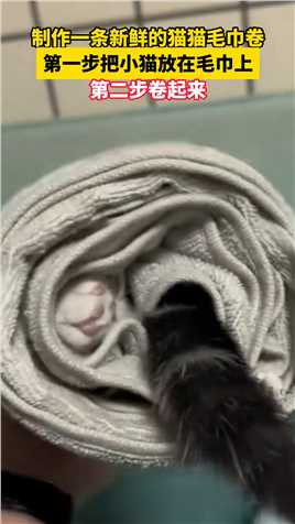 制作一条新鲜的猫猫毛巾卷，第一步把小猫放在毛巾上。 第二步卷起来