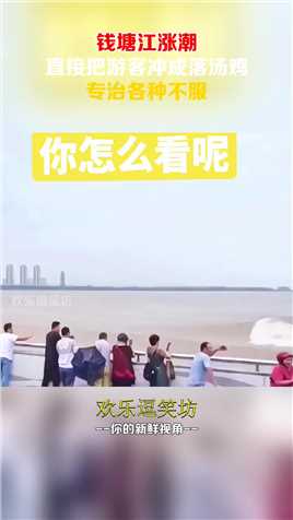 钱塘江涨潮，直接把游客冲成落汤鸡，专治各种不服！