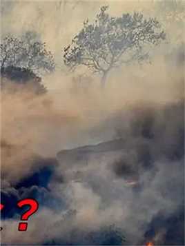 加拿大山火数月不灭，为啥还用直升机放火，其中有何深意？ #森林火灾 #山火 #火灾 #灭火 #加拿大山火