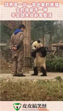 饲养员一对一带出来的熊猫，会的技能不一样，学会功夫给游客整活#搞笑 #奇趣 #社会 #搞笑段子 