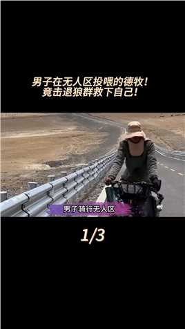 男子骑行无人区，随手投喂一只德牧，后面竟救下自己！#动物科普#带狗旅行#德牧#骑行西藏 (1)