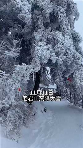 11月11日老君山突降大雪，心心念的雪景又回来了，这个冬天你想和谁一起看雪？