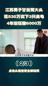 江苏男子甘当冤大头，花530万买下3只臭龟，4年后狂赚6000万 (2)


