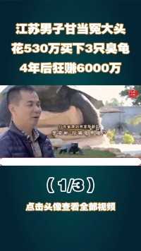 江苏男子甘当冤大头，花530万买下3只臭龟，4年后狂赚6000万 (1)


