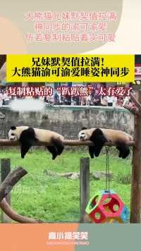 大熊猫兄妹默契值拉满，神同步的渝可渝爱，仿若复制粘贴着实可爱！