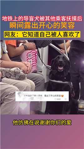 地铁上的导盲犬被其他乘客抚摸后瞬间露出开心的笑容网友：它知道自己被人喜欢了