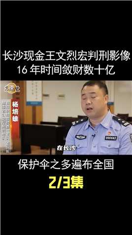长沙现金王文烈宏被判影像，16年时间敛财数十亿，保护伞分布全国 (2)
