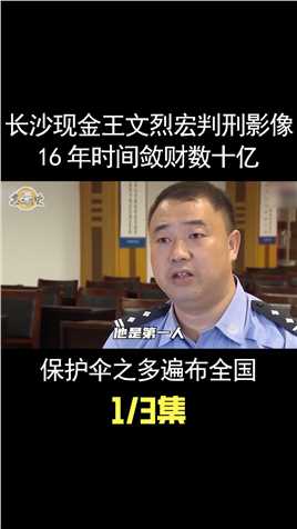 长沙现金王文烈宏被判影像，16年时间敛财数十亿，保护伞分布全国 (1)