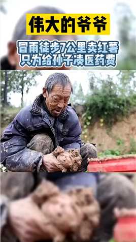 伟大的爷爷，冒雨徒步7公里卖红薯，只为给孙子凑医药费！