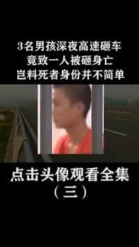 广东3男孩深夜高速砸车，竟致一人被砸身亡，岂料死者身份不简单 (3)
