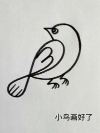 用数字38画连笔画小鸟#一学就会系列 #小鸟简笔画