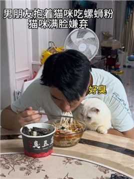 猫：下次我拉热乎的给你吃！！#谁能拒绝傻憨憨的小猫咪 #它真的好像个小宝宝