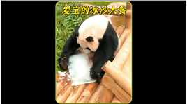 果然还是女儿受宠，吃豪华冰沙套餐，玩一场人工造雪，赘婿只有冰棍#动物世界 #大熊猫 



