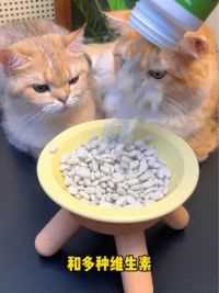 记得一定要定时给猫咪排毛，不想种猫草的可以吃猫草片，爱它就应该更加呵护它#萌宠好物 #猫草 #猫咪掉毛