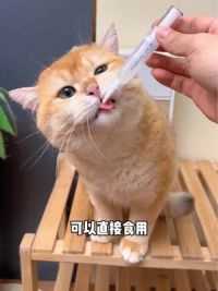 猫咪长期不清洁口腔不仅会嘴巴膀臭！滋生的细菌还会导致牙龈红肿影响食欲！#萌宠好物 #宠物牙膏 #刷牙