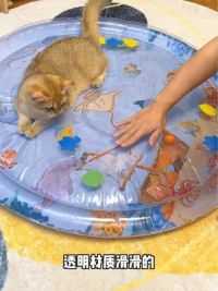 这个宠物拍拍水垫也太好玩了吧，冰冰凉凉可以躺着睡还能玩耍，小猫咪太喜欢了！#萌宠好物 #猫窝