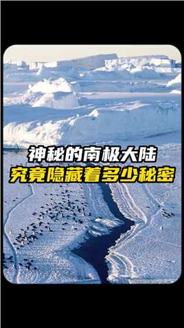 这是人类生命的禁区，科学家发现了生命的迹象！#揭秘 #南极 #生命
