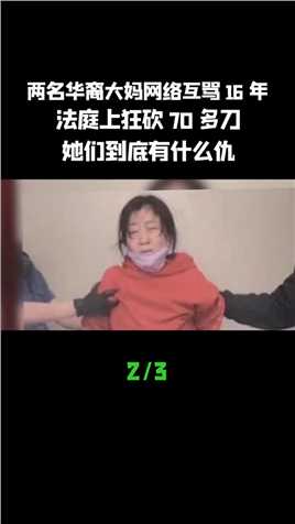 两名华裔大妈网络互骂16年，法庭上狂砍70多刀，她们到底有什么仇 (2)