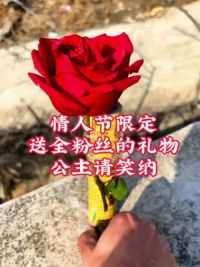 今天2月14情人节，两次用心的制作，只想送给各位粉丝一朵完美无缺的玫瑰花，结果却不是那么完美。 #情人节礼物天花板