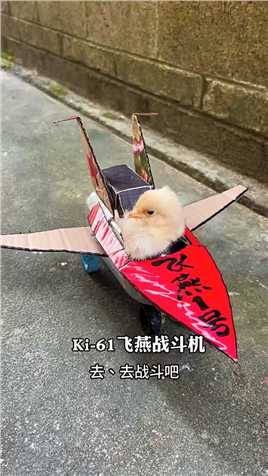  给这孩子做了一辆飞燕1号战斗机、这孩子可开心了😂