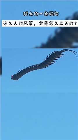 好大的一条蜈蚣，这么大的风筝，会是怎么上天的？