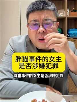 胖猫事件中可能涉嫌的法律问题#抖来普法2024 #郑州 #律师 #郑州刑事律师 #刑事辩护