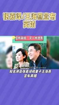 张嘉译，王海燕宣布离婚