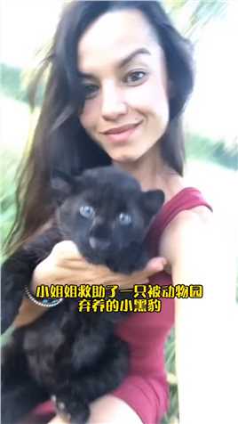 俄罗斯小姐姐救助了一只被动物园 弃养的小黑豹，把小姐姐当着妈妈！#治愈