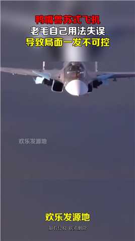 鸭嘴兽苏式飞机，老毛自己用法失误，导致局面一发不可控#搞笑 