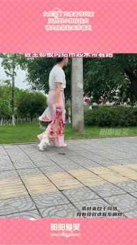 女生买了肉准备带回家，没想到小狗咬住肉，被肉给吊起来带着跑