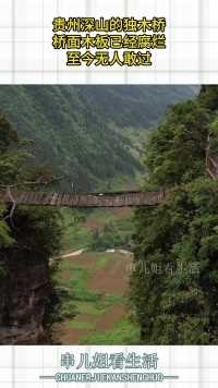 贵州深山的独木桥，桥面木板已经腐烂，至今无人敢过