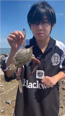 今天带着秦文龙来海边觅食，居然发现了一只大螃蟹，太香了！！