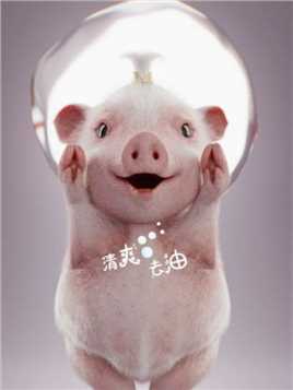 这是一只可爱…且…不油不腻的猪猪！#摇摇去油舞 #第二代兰蔻极光水