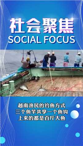 越南渔民的钓鱼方式，三个鱼竿共享一个鱼钩，上来的都是百斤大鱼