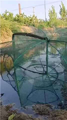 喜欢捕鱼的，可以入手这个捕鱼网，捕鱼捕虾都能用，不用时候可以折叠起来