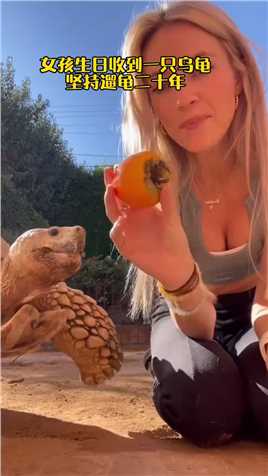 女孩七岁生日收到一只乌龟，每天坚持溜龟， 一晃就是二十年