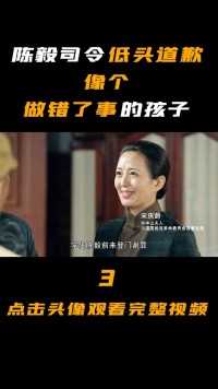 陈毅司令对一位女子低头道歉，像个做错了事的孩子，此人是谁？#陈毅元帅#宋庆龄#上海解放#敬礼致歉 (3)