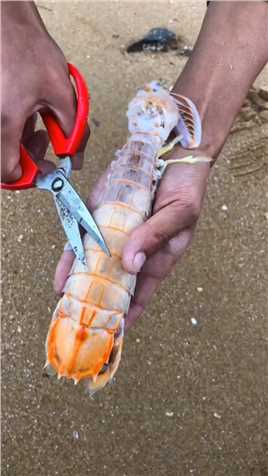  今天教大家怎样吃皮皮虾，你们学会了吗？ #微视