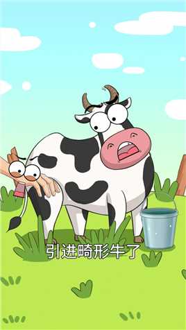 奶牛居然也有公的 #三农#原创动画#有趣的知识又增长了#动物