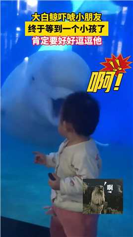 大白鲸吓唬小朋友，终于等到一个小孩了。 肯定要好好逗逗他