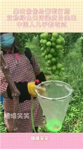 果农偷偷给葡萄打药，宣称绿色无污染高价卖出，中国人几乎都吃过#搞笑 #搞笑视频 #搞笑日常 #搞笑段子 