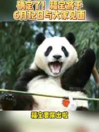 确定了！福宝将会在6月12日与大家见面！ #大熊猫福宝 #来这吸熊猫 #萌宠出道计划 #国宝