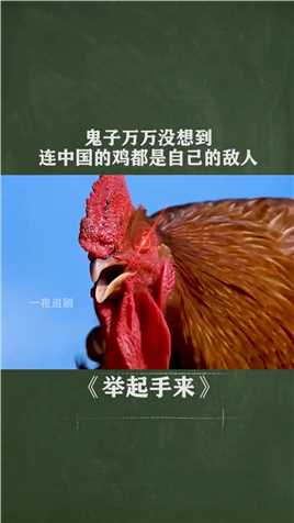 鬼子万万没想到,连中国的鸡都是自己的敌人