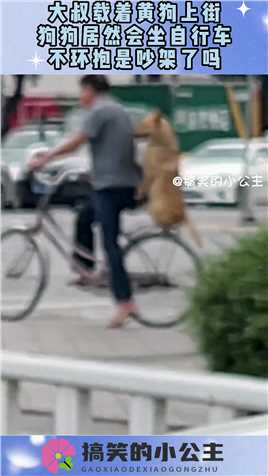 大叔载着黄狗上街，狗狗居然会坐自行车，不环抱是吵架了吗？#搞笑 #奇趣 #社会 #搞笑段子 