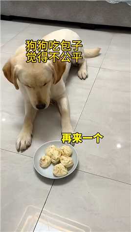 狗狗吃包子觉得不公平,#动物世界,#搞笑动物,#搞笑动物