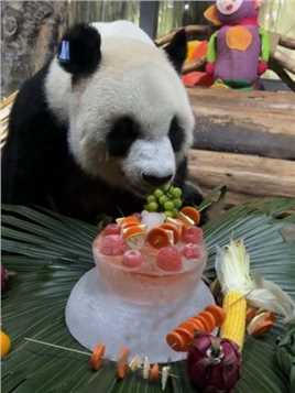 #大熊猫 #大熊猫贡贡 #五一 大岛主贡贡吃葡萄好美味