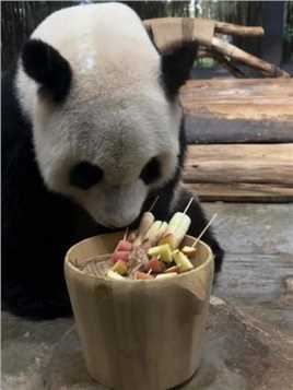 #大熊猫 #大熊猫贡贡 大岛主贡贡吃串串也太快了吧两个串串十几秒已下肚了！