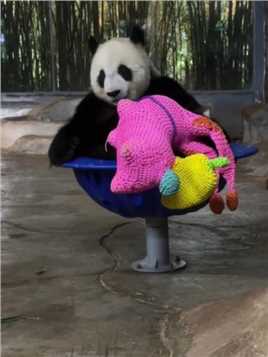 #大熊猫 #大熊猫贡贡 贡贡坐在转锅中好可爱啊！