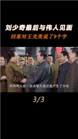 刘少奇最后一次与伟人见面，他回到家后，对王光美说了9个字#历史#历史人物#人物故事#真实事件 (3)