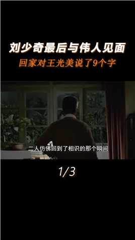 刘少奇最后一次与伟人见面，他回到家后，对王光美说了9个字#历史#历史人物#人物故事#真实事件 (1)